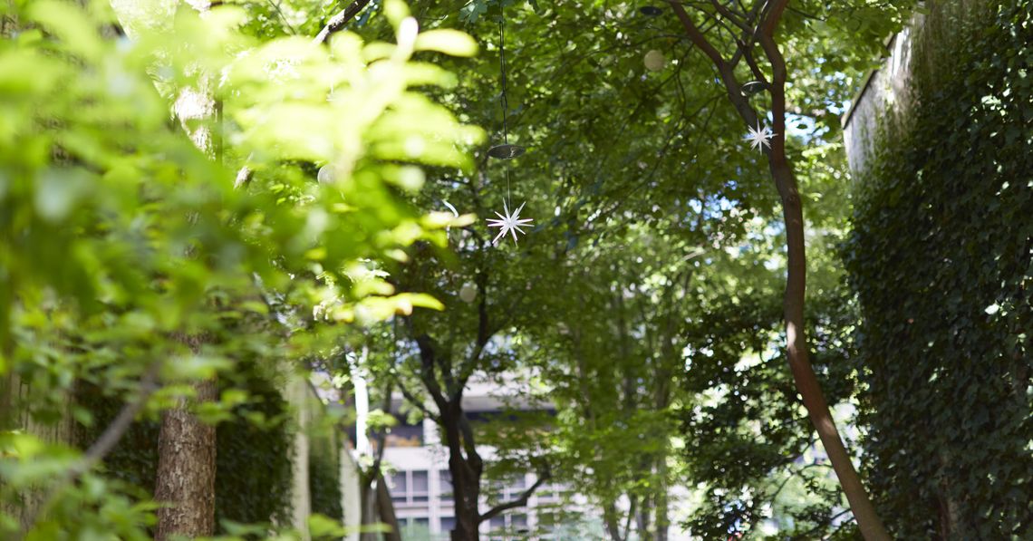 277543548538833927 ccd collinspark 1182 rgb