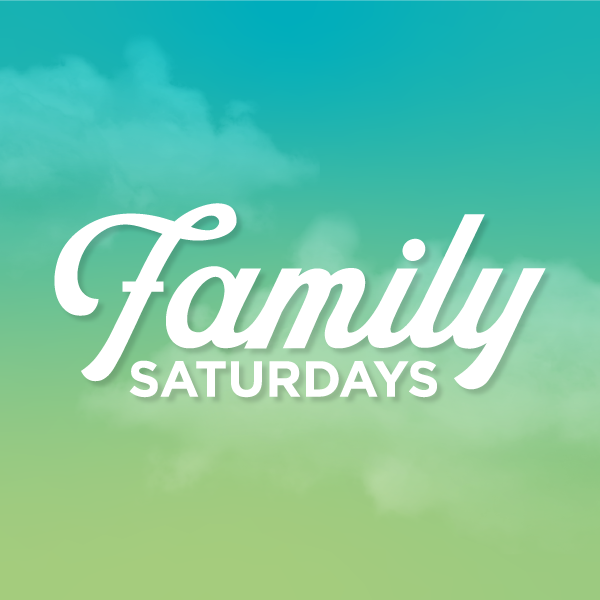 21 web familysat icon
