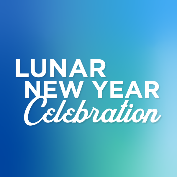 20 web lunarny icon