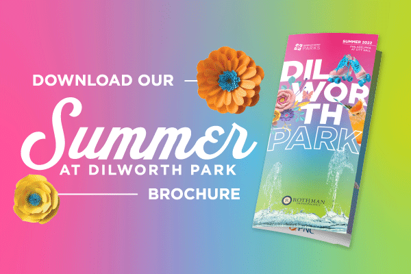 web dilworth summer brochure download graphic