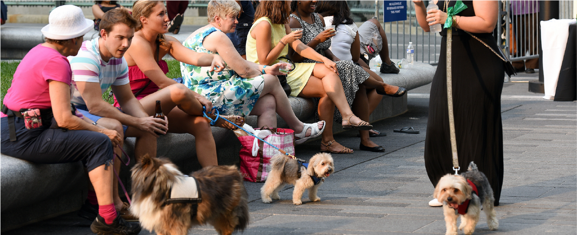 25 yappy hour web banner