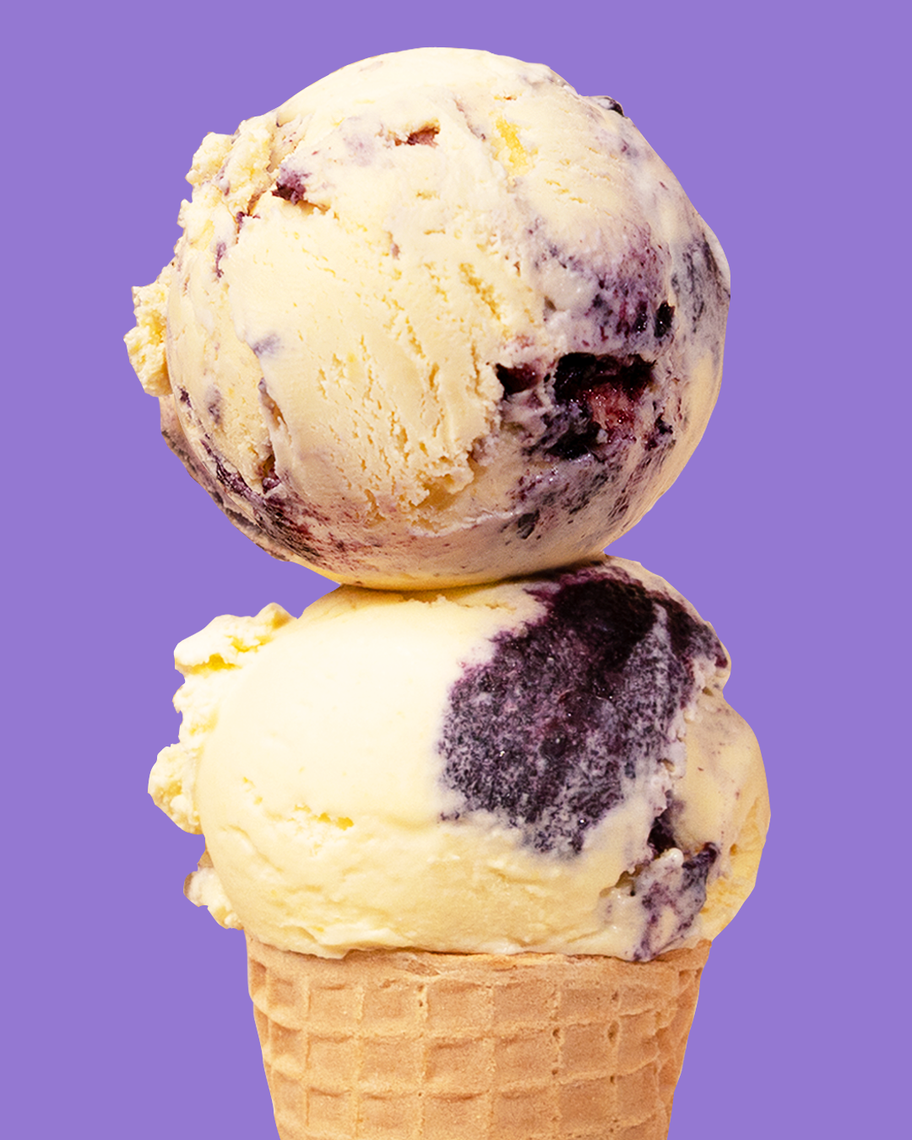 vanleeuwen ice cream 2025